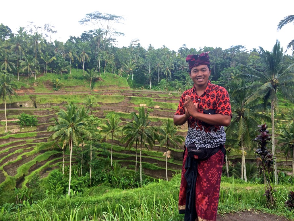 Rice fields Bali - Copyright