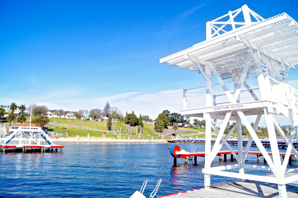 101-things-to-see-and-do-in-Geelong-swimming-enclosure