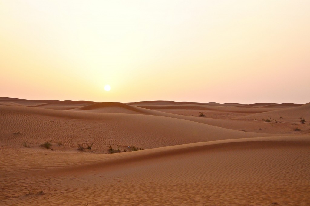 Desert-safari-dubai-copyright