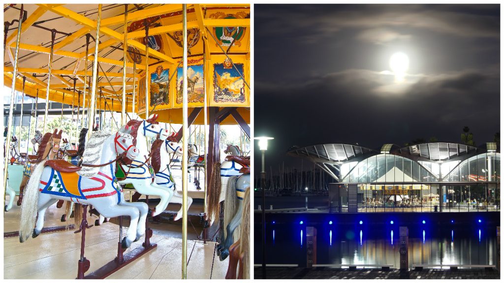 101-things-to-see-and-do-in-geelong-carousel