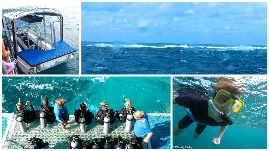 Great+Barrier+Reef+Queensland+snorkeling+Diving+Cairns+Reef+Experience+Boat+Tour