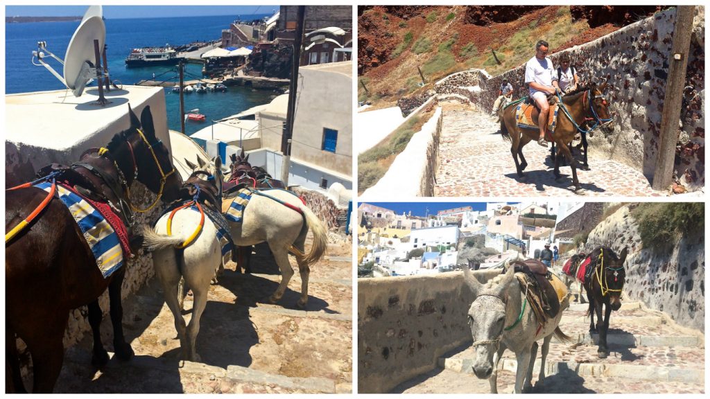 Oia+Santorini+Ammoudi+Bay+Seafood+Restaurants+Port+Donkeys