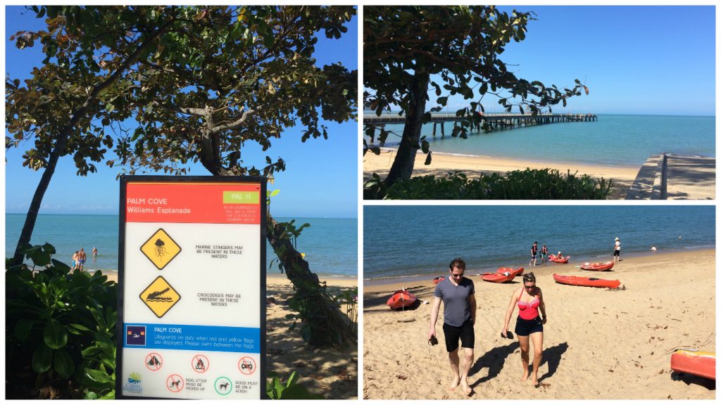 Palm+Cove+swimming+beach+crocodiles+patrolled+net