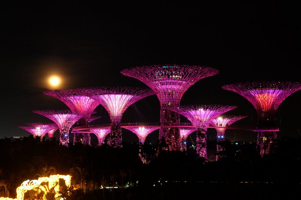 Gardens by the Bay at night ©