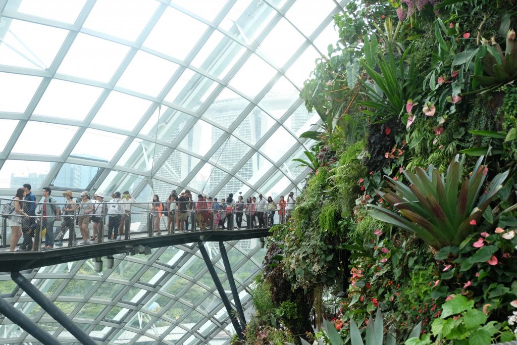 Gardens by the Bay Cloud Forest ©