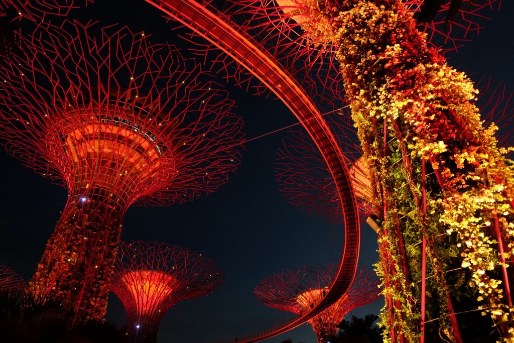 Gardens by the Bay at night ©