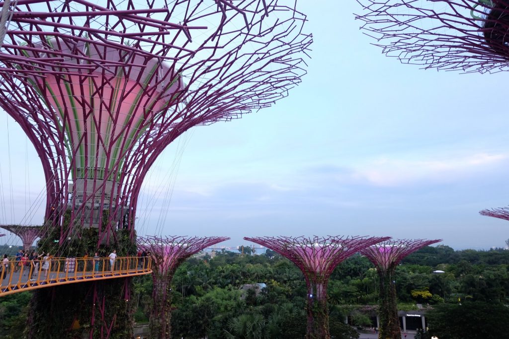 Gardens by the Bay ©