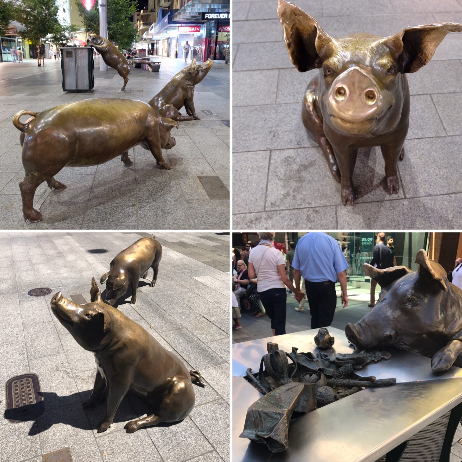 A day out pig sculpture in Rundle Mall Adelaide © Travel Drink Dine