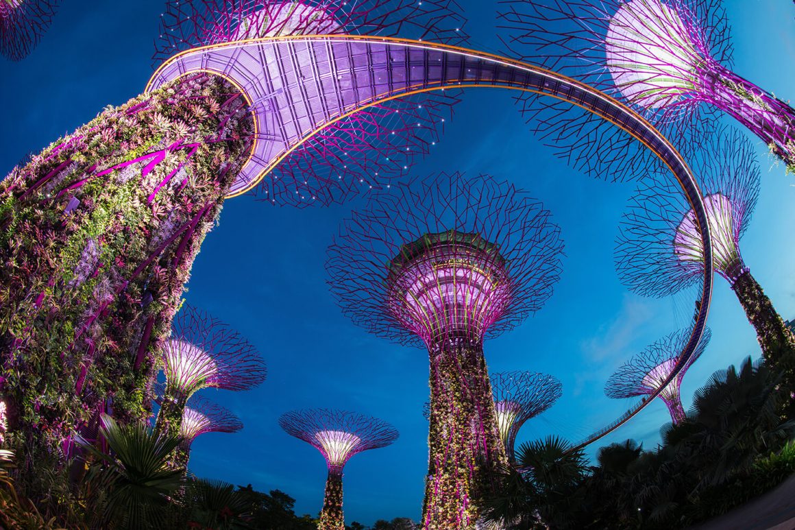 Best Places To Visit In Singapore Travel Drink Dine